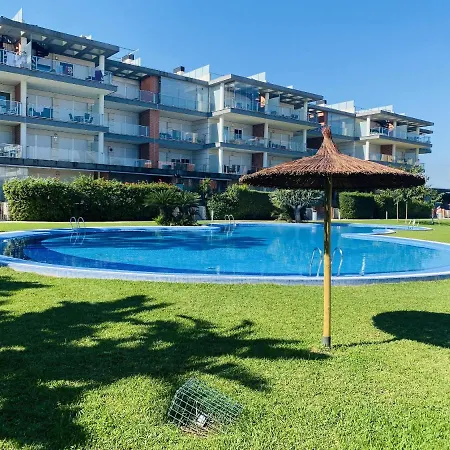 Anacasa Albatros Met Nova Golf Ap463 Oliva