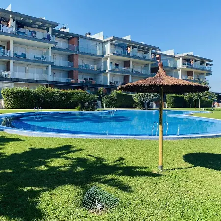 Anacasa Albatros Met Nova Golf Ap463 Oliva