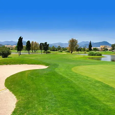 Anacasa Albatros Met Nova Golf Ap463 Oliva